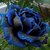 Seeds-Blue Rose Charming Bush Midnight Supreme Rare Garden