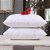 HomeStore-YEP Fiber Dream Pillow - 40 x 61 cm, White, Set of 2 Piece