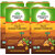 Organic India Tulsi Ginger Turmeric 25 Tea Bags- (Pack Of 4)