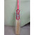 Mumbai Tattoo Silvo Cricket Bat