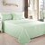 HomeStore-YEP Green Plain 100 Cotton Double Bed Sheet with 2 Pillow Covers
