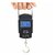 Trendz Portable Hanging weighing scale