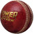 Acorn Power Attack Cricket Leather Ball ( Red )