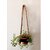 Khush Its Amazing Wood Hanging Planter Shelf Plant Hanger Decorative Flower Pot Rack with Rope Home Decor Hanging Planter ( 1 Pot Black Planter)