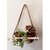 Khush Its Amazing Wood Hanging Planter Shelf Plant Hanger Decorative Flower Pot Rack with Rope Home Decor Hanging Planter ( 2 Pot White Planter)
