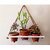 Khush Its Amazing Wood Hanging Planter Shelf Plant Hanger Decorative Flower Pot Rack with Rope Home Decor Hanging Planter (3 Pot White Planter)