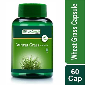 Wheat Grass Capsule (60 Cap)