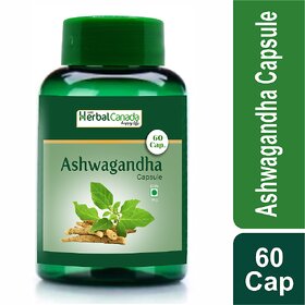 Ashwagandha Capsule (60 Cap)