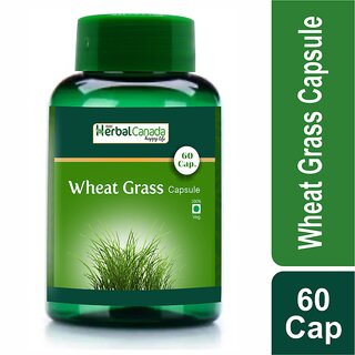 Wheat Grass Capsule (60 Cap)