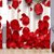 Styletex Polyester Window Curtain Multicolor Pack of 2 Pcs