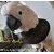 Bird Collars - Elizabeth Collars - Good for Cockatoo to Prevent Feather Plucking - 2 pcs Set