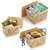Selvel Storage Basket/Box with lid for Kitchen | Vegetables | Toys | Books | Office | Stationery | Utility | Cosmetics | Accessories | Closet | Wardrobe | Set of 3 (Beige)