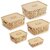 Selvel Storage Basket/Box with lid for Kitchen | Vegetables | Toys | Books | Office | Stationery | Utility | Cosmetics | Accessories | Closet | Wardrobe | Set of 5 (Beige)