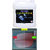 Indo Power Leather Shiner 5Ltr.