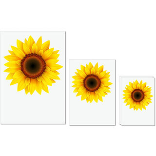                       UDNAG Untearable Waterproof Stickers 155GSM 'Flower | Sunflower' A4 x 1pc, A5 x 1pc & A6 x 2pc                                              