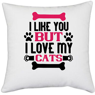                       UDNAG White Polyester 'Cat | i like you but ilove my cat 01' Pillow Cover [16 Inch X 16 Inch]                                              