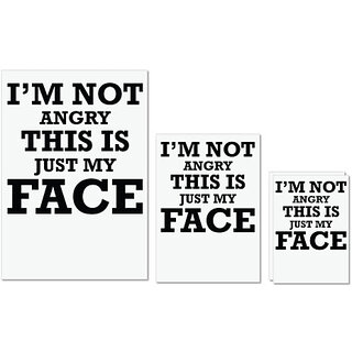                       UDNAG Untearable Waterproof Stickers 155GSM 'Face | I am Not Angry This Is Just My Face' A4 x 1pc, A5 x 1pc & A6 x 2pc                                              