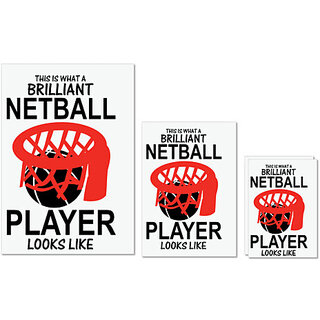                       UDNAG Untearable Waterproof Stickers 155GSM 'Basketball | THIS IS WHAT A BRILLIANT' A4 x 1pc, A5 x 1pc & A6 x 2pc                                              