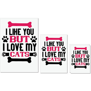                       UDNAG Untearable Waterproof Stickers 155GSM 'Cat | i like you but ilove my cat 01' A4 x 1pc, A5 x 1pc & A6 x 2pc                                              