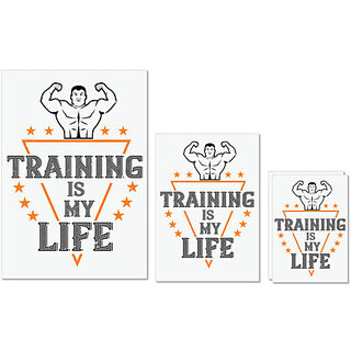                       UDNAG Untearable Waterproof Stickers 155GSM 'Gym | traing is my life' A4 x 1pc, A5 x 1pc & A6 x 2pc                                              