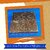 VSP VASTU SAMADHAN - 7 Vastu Shree Box for VASTU Rectification and ENERGISATION of The Place  Human