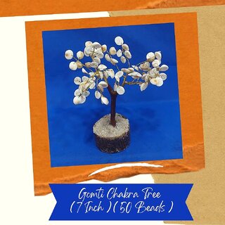                       VSP VASTU SAMADHAN - 17 Gomti Chakra Tree for good luck and prosperity, bless the residents with Long Life   Good Luck                                              