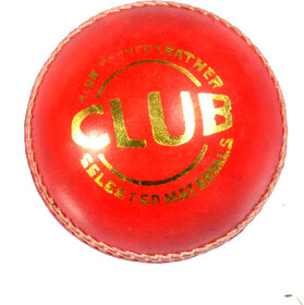 Leather Cricket Ball