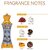 Ajmal Mizyaan Concentrated Perfume Oil Oriental Musky Alcohol-free Attar 14ml for Unisex and Musk Rose Concentrated Perfume Oil Floral Musky Alcohol-free Attar 12ml for Unisex + 2 Parfum Testers FREE