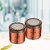 Trueware Stainless Steel Lacquer Finish Hammer Lift Up Plus Airtight 500 Ml Set Of 2Pcs-Copper