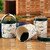 Trueware Lift up STC Canister Set of 3 Sugar Tea coffee 750 ml each with Plastic Body BPA free (Blue)