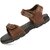 Richale 102 Brown Sandal for Men