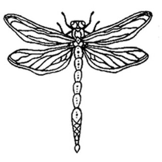 Stylish Dragonfly Temporary Tattoo  Temporary Tattoos