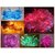 Set of 5 Coloured Rice Lights (Assorted Colours) (5 mts)  10+1 Ladi Jointer LED / Rice Decorative Lights Jointer