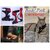 Cat Belt-Cat Harness with nylon lease Size Small/Medium