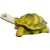 Tortoise