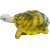 Tortoise