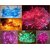 TAKSON Multicolor Decorative Electric Resin Material Lights for All Festivals/ Occasions Set of 3