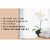 No-O Washroom Spray/ Toilet Seat Sanitizer Spray