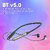 Zebronics Zeb-Lark Metallic Wireless in Ear Neckband Earphone with BT 5.0 Rapid Fast Charging (Metallic Green)