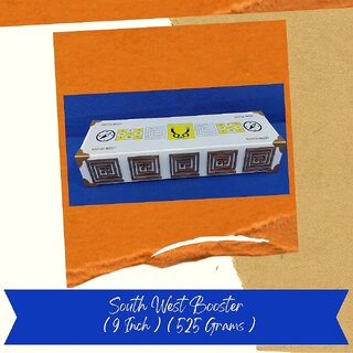                       VSP VASTU SAMADHAN - 179 VSP SOUTH WEST BOOSTER - CURE Defects like Missing South West Corner ( Corner CUT / EXTENSION )                                              