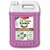 PaxClean Economical Floor  All Surface Cleaner Disinfectant with 99.9 Germ Kill (Floral Bloom), 5L