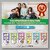 PaxClean Economical Floor  All Surface Cleaner Disinfectant with 99.9 Germ Kill (Floral Bloom), 5L