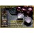 PARK DANIEL Premium Onion Herbal Oil, Red Onion Shampoo & Onion Hair Serum - For Silky & Smooth Hair Combo Pack 3 Bottle of 100 ml(300 ml) (3 Items in the set)