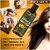 PARK DANIEL Premium Arnica Herbal Hair Oil & Green Tea Herbal Shampoo For Hair Growth Combo Pack Of 2 Bottle of 100 ml(200 ml) (2 Items in the set)