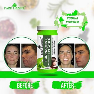                       PARK DANIEL Premium Pudina Powder-100% Pure & Natural (100 gms) (100 g)                                              