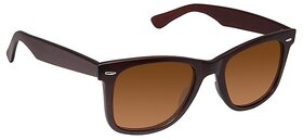 29K Men's Chocolate Brown UV Protection Wayferer Sunglasses