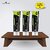 PARK DANIEL Natural Activated Charcoal Teeth Whitening Toothpaste - For Tobacco Stain, Tartar, Gutkha Stain and Yellow Teeth Removal | No Side Effect Combo Pack of 3 Tubes of 100gm(300gms) Toothpaste (300, Pack of 3)