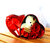India gardening Metal Box with Small Teddy and Artificial Flower Inside Heart Shape Box