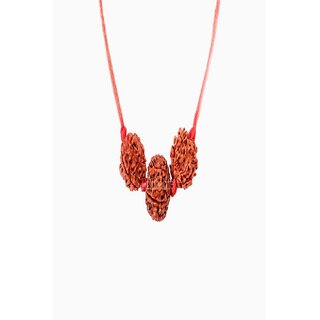                       Yuvi Shoppe Two Beads of 4 mukhi and one beads of 6 mukhi Rudraksh Beads for Saraswati Bandh with red thread                                              