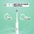 Hammer Flow 2.0 Electric Toothbrush and 2Replaceable Brush Heads for Men and Women 2Brushing Modes A Battery Waterproof Super-Soft Bristles Electric Brush(White)